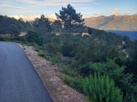 Bocca di Tartavellu von Vignacce