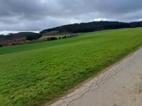 Bockshahn desde Blasweihler Bach