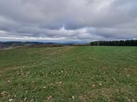 Bockshahn desde Blasweihler Bach