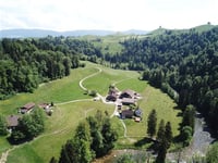 Boden über Sihlmatt