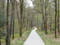Boerenallee da Rozendaal
