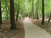 Boerenallee z Rozendaal