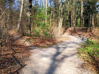 Boerenallee da Rozendaal