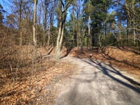 Boerenallee da Rozendaal
