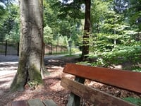 Boerenallee from Rozendaal