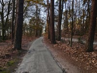 Boerenallee da Rozendaal
