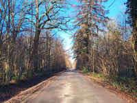 Bois Communal Gougnies von Sart-Eustache