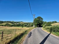 Bois d'Ansy