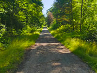 Bois d'Athus