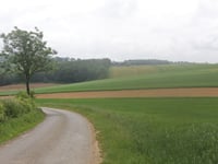 Bois d'Enquin von Fauchelles