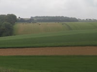 Bois d'Enquin von Fauchelles