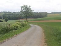 Bois d'Enquin von Fauchelles