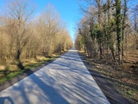 Bois de Behogne von Rochefort