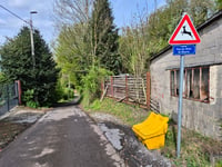 Bois de Beyne