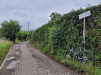 Bois de Beyne