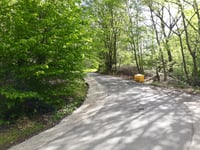 Bois de Beyne