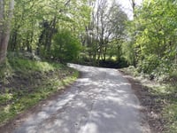 Bois de Beyne