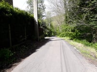 Bois de Beyne