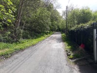 Bois de Beyne