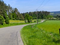 Bois de Boine da Han-sur-Lesse