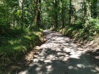 Bois de Bolland / Mur du Couvent