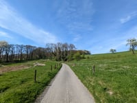 Bois de Bolland / Mur du Couvent