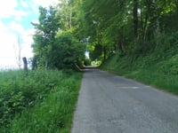 Bois de Calembert / Mont de Beussent