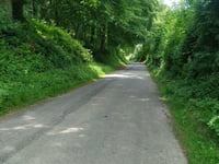 Bois de Calembert / Mont de Beussent