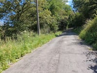 Bois de Champia