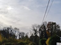Bois de Champia