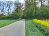 Bois de Corenne von Biesmerée