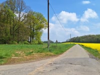 Bois de Corenne von Biesmerée