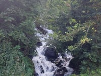 Bois de Coteyssard