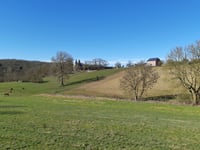 Bois de Foresse / Loysse desde Sclaigneaux