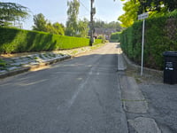 Bois de Gistru