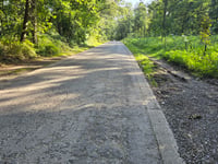 Bois de Gistru