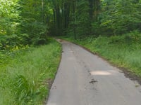 Bois de Guéville von Harnoncourt