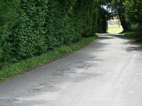 Bois de Herve über En Wez