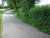 Bois de Herve über En Wez