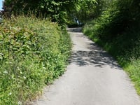 Bois de Herve von Hubertfays