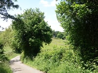 Bois de Herve von Hubertfays