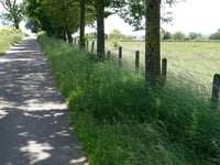 Bois de Herve von Hubertfays