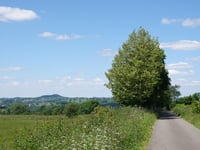 Bois de Herve von Hubertfays
