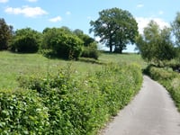 Bois de Herve von Hubertfays