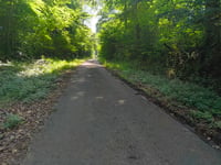 Bois de la Core from Ruette
