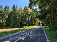 Bois de la Haute-Marlagne par Buzet