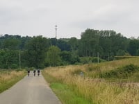 Bois de la Houppe