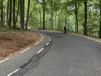 Bois de la Houppe