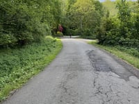 Bois de la Houppe
