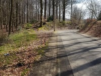 Bois de la Houppe